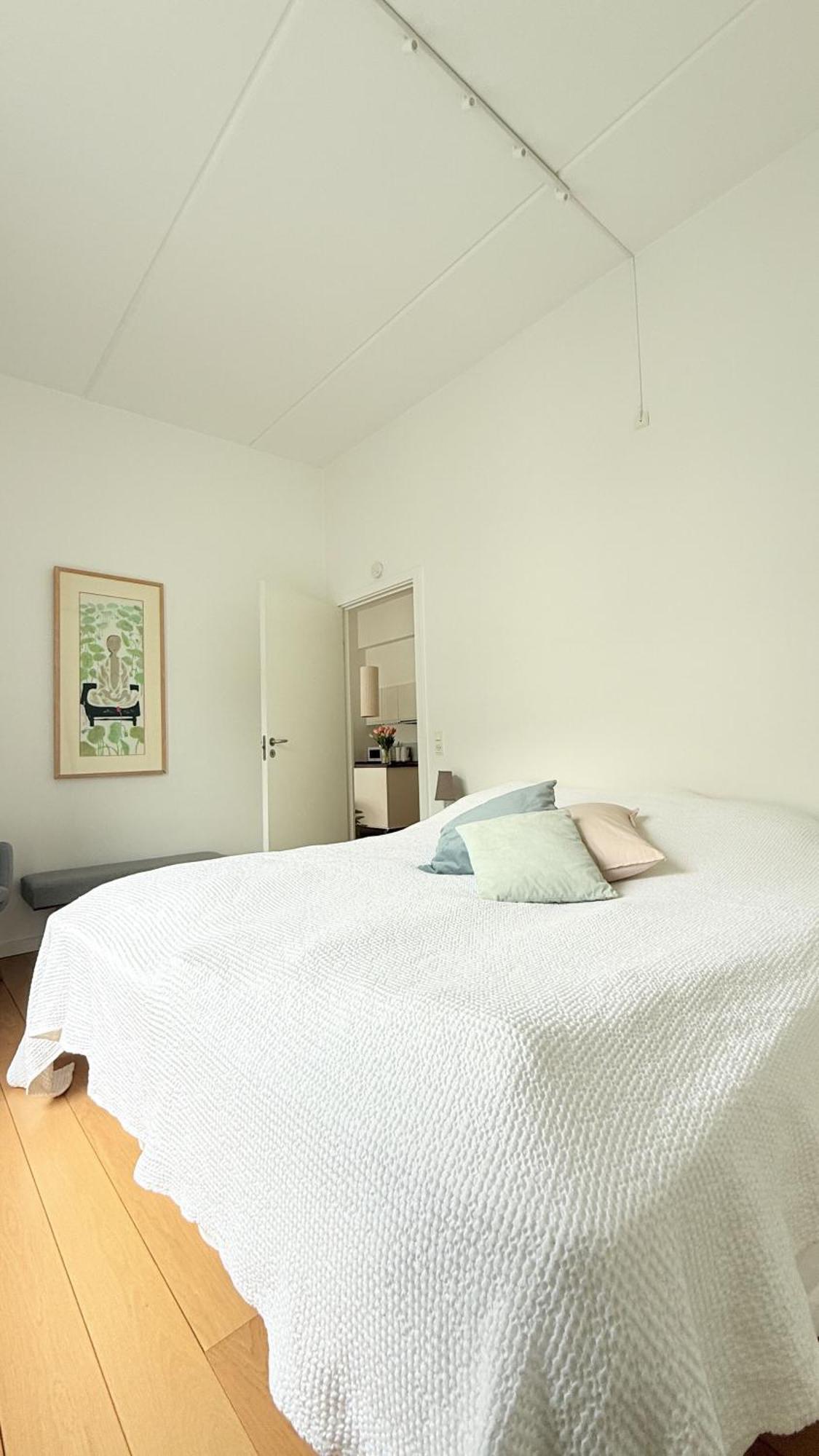 Apartmentincopenhagen 1707 Apartment